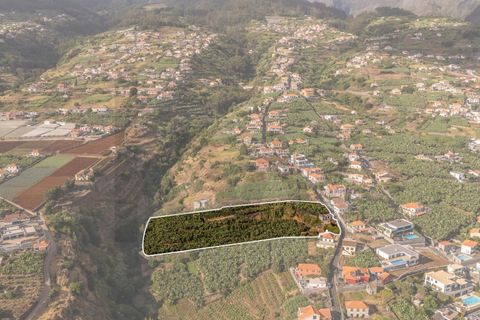 Helårsgrund i Ponta do Sol, Madeira, Ponta do Sol - € 470.000 | Ref: KWPT-022375 - foto 10