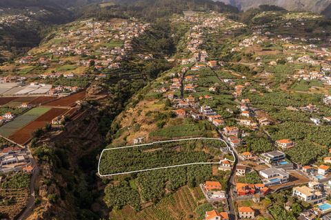 Helårsgrund i Ponta do Sol, Madeira, Ponta do Sol - € 470.000 | Ref: KWPT-022375 - foto 11