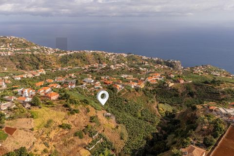 Helårsgrund i Ponta do Sol, Madeira, Ponta do Sol - € 470.000 | Ref: KWPT-022375 - foto 14