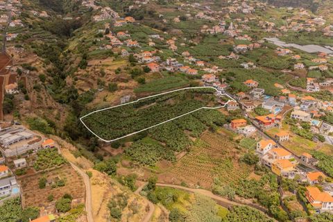 Helårsgrund i Ponta do Sol, Madeira, Ponta do Sol - € 470.000 | Ref: KWPT-022375 - foto 15