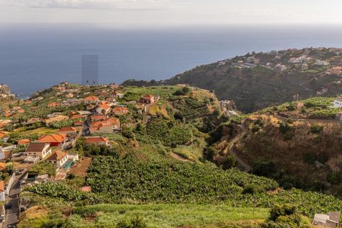 Helårsgrund i Ponta do Sol, Madeira, Ponta do Sol - € 470.000 | Ref: KWPT-022375 - foto 16