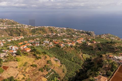 Helårsgrund i Ponta do Sol, Madeira, Ponta do Sol - € 470.000 | Ref: KWPT-022375 - foto 17