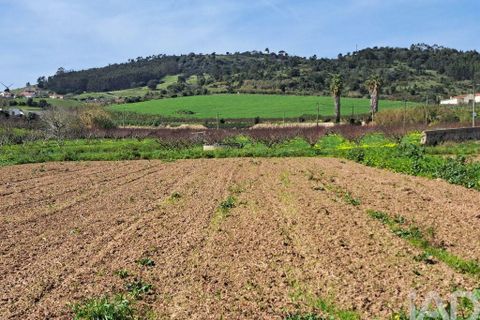 Helårsgrund i Mafra, Lisbon, Mafra - € 136.500 | Ref: 147470 - foto 2