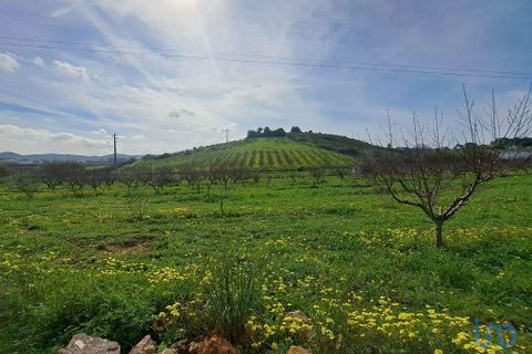 Helårsgrund i Mafra, Lisbon, Mafra - € 136.500 | Ref: 147470 - foto 4