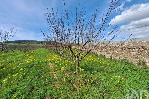 Helårsgrund i Mafra, Lisbon, Mafra - € 136.500 | Ref: 147470 - foto 6