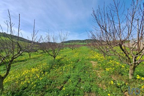 Helårsgrund i Mafra, Lisbon, Mafra - € 136.500 | Ref: 147470 - foto 7