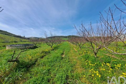 Helårsgrund i Mafra, Lisbon, Mafra - € 136.500 | Ref: 147470 - foto 9