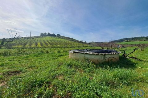 Helårsgrund i Mafra, Lisbon, Mafra - € 136.500 | Ref: 147470 - foto 10