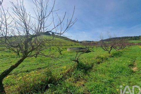 Helårsgrund i Mafra, Lisbon, Mafra - € 136.500 | Ref: 147470 - foto 11