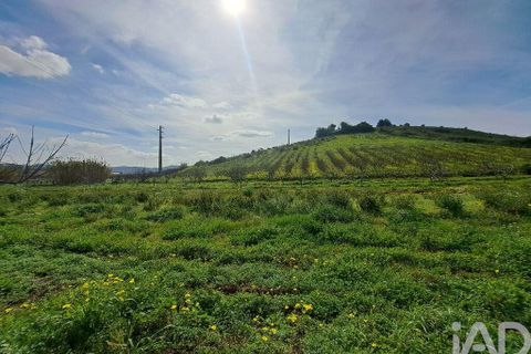 Helårsgrund i Mafra, Lisbon, Mafra - € 136.500 | Ref: 147470 - foto 12