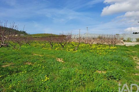 Helårsgrund i Mafra, Lisbon, Mafra - € 136.500 | Ref: 147470 - foto 14