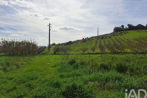 Helårsgrund i Mafra, Lisbon, Mafra - € 136.500 | Ref: 147470 - foto 15