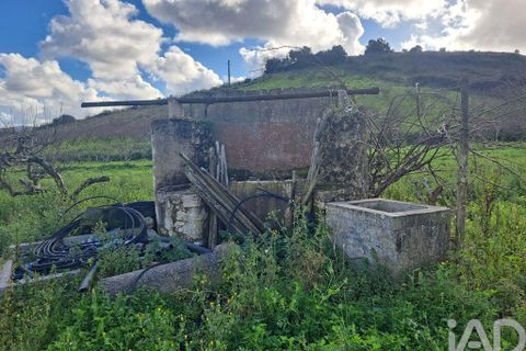 Helårsgrund i Mafra, Lisbon, Mafra - € 136.500 | Ref: 147470 - foto 16