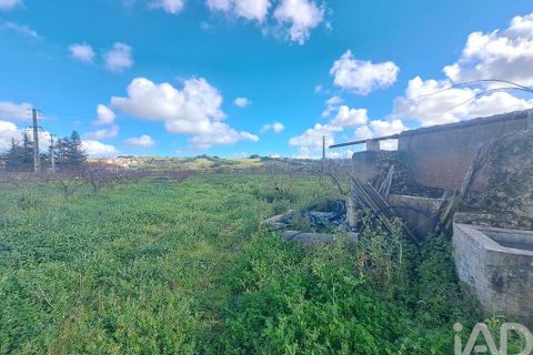 Helårsgrund i Mafra, Lisbon, Mafra - € 136.500 | Ref: 147470 - foto 18