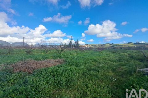 Helårsgrund i Mafra, Lisbon, Mafra - € 136.500 | Ref: 147470 - foto 19