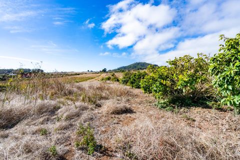 Terra a La Laguna, Tenerife, La Laguna - € 99.000 | Ref: 0067-04550/2961 - foto 6