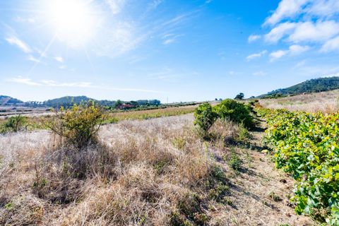 Terra a La Laguna, Tenerife, La Laguna - € 99.000 | Ref: 0067-04550/2961 - foto 11