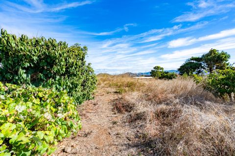 Terra a La Laguna, Tenerife, La Laguna - € 99.000 | Ref: 0067-04550/2961 - foto 14