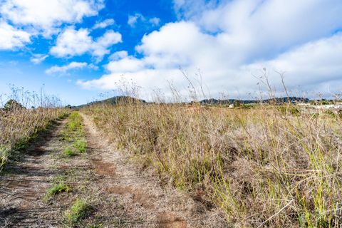 Terra a La Laguna, Tenerife, La Laguna - € 99.000 | Ref: 0067-04550/2961 - foto 15