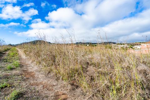 Terra a La Laguna, Tenerife, La Laguna - € 99.000 | Ref: 0067-04550/2961 - foto 16