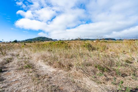 Terra a La Laguna, Tenerife, La Laguna - € 99.000 | Ref: 0067-04550/2961 - foto 19