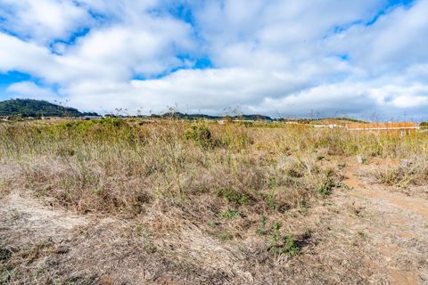 Terra a La Laguna, Tenerife, La Laguna - € 99.000 | Ref: 0067-04550/2961 - foto 20