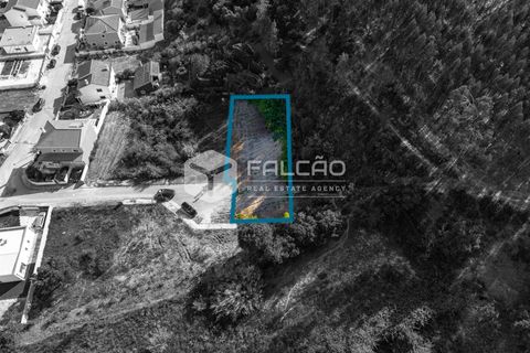 Grond in Santarem, Santarem, Santarem - € 57.500 | Ref: FR912 - foto 2