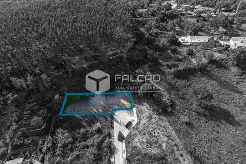Grond in Santarem, Santarem, Santarem - € 57.500 | Ref: FR912 - foto 3