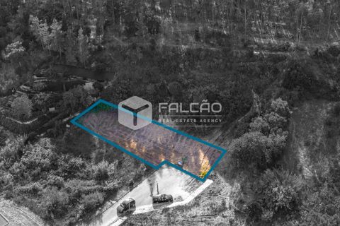 Grond in Santarem, Santarem, Santarem - € 57.500 | Ref: FR912 - foto 7