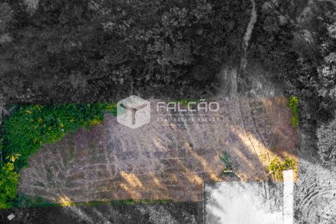 Grond in Santarem, Santarem, Santarem - € 57.500 | Ref: FR912 - foto 9