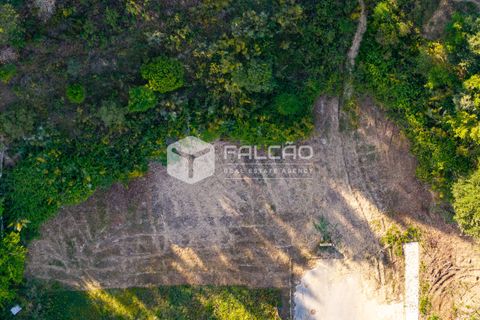 Grond in Santarem, Santarem, Santarem - € 57.500 | Ref: FR912 - foto 10