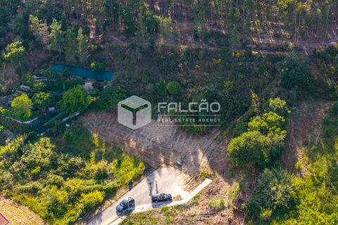 Grond in Santarem, Santarem, Santarem - € 57.500 | Ref: FR912 - foto 12