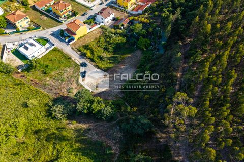 Grond in Santarem, Santarem, Santarem - € 57.500 | Ref: FR912 - foto 17