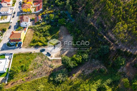 Grond in Santarem, Santarem, Santarem - € 57.500 | Ref: FR912 - foto 18