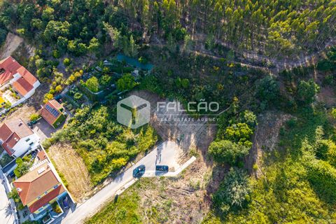 Grond in Santarem, Santarem, Santarem - € 57.500 | Ref: FR912 - foto 19