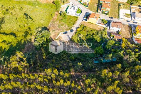 Grond in Santarem, Santarem, Santarem - € 57.500 | Ref: FR912 - foto 20