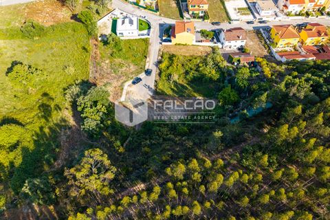 Grond in Santarem, Santarem, Santarem - € 57.500 | Ref: FR912 - foto 21