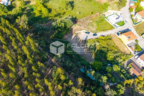 Grond in Santarem, Santarem, Santarem - € 57.500 | Ref: FR912 - foto 22