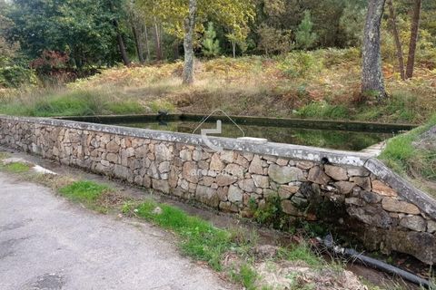 Farm i Valenca, Viana do Castelo, Valenca - € 850.000 | Ref: AV6493 - foto 5