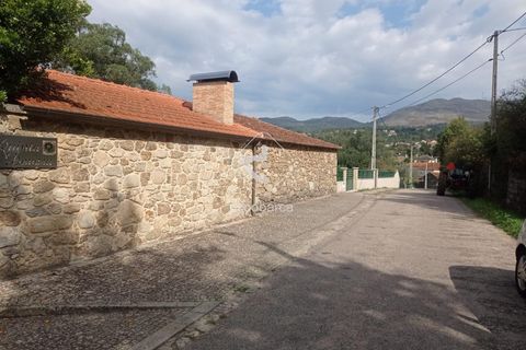 Farm i Valenca, Viana do Castelo, Valenca - € 850.000 | Ref: AV6493 - foto 6