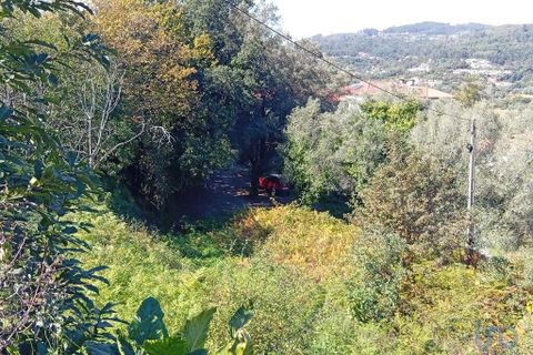 Tomt i Vila Verde, Braga, Vila Verde - € 25 000 | Ref: 150556 - foto 4