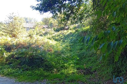 Tomt i Vila Verde, Braga, Vila Verde - € 25 000 | Ref: 150556 - foto 13