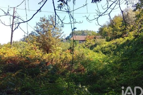 Tomt i Vila Verde, Braga, Vila Verde - € 25 000 | Ref: 150556 - foto 16