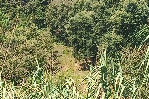 Helårsgrund i Alcobaca, Leiria, Alcobaca - € 40.000 | Ref: 126874 - foto 2