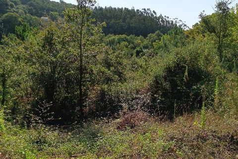 Helårsgrund i Alcobaca, Leiria, Alcobaca - € 40.000 | Ref: 126874 - foto 3