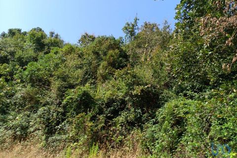Helårsgrund i Alcobaca, Leiria, Alcobaca - € 40.000 | Ref: 126874 - foto 4