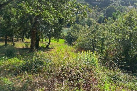 Helårsgrund i Alcobaca, Leiria, Alcobaca - € 40.000 | Ref: 126874 - foto 5