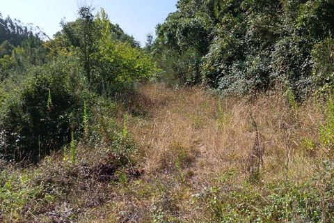 Helårsgrund i Alcobaca, Leiria, Alcobaca - € 40.000 | Ref: 126874 - foto 7