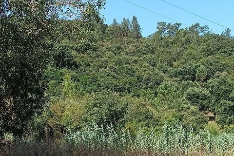 Helårsgrund i Alcobaca, Leiria, Alcobaca - € 40.000 | Ref: 126874 - foto 8