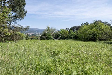 Landejendom i Tui, Pontevedra, Tui - € 700.000 | Ref: VIG49006 - foto 25